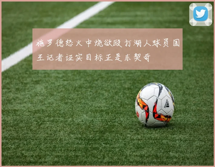 施罗德怒火中烧欲殴打湖人球员国王记者证实目标正是东契奇